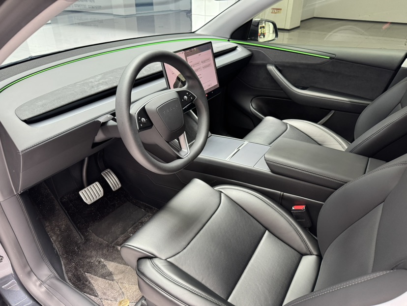 Tesla Model Y 2025 car image #11