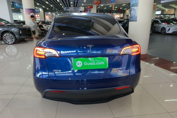 Tesla Model Y 2021 car image #6