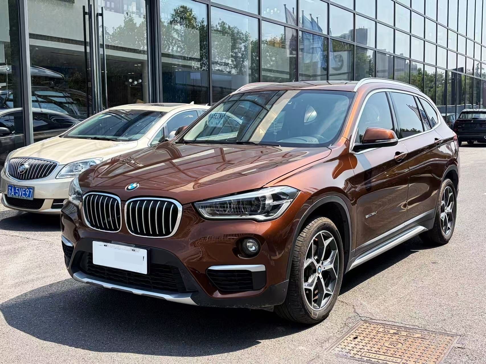 BMW X1 2017 immagine di auto 