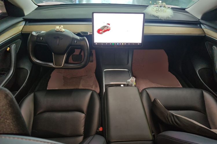 Tesla Model 3 2021 car image #11