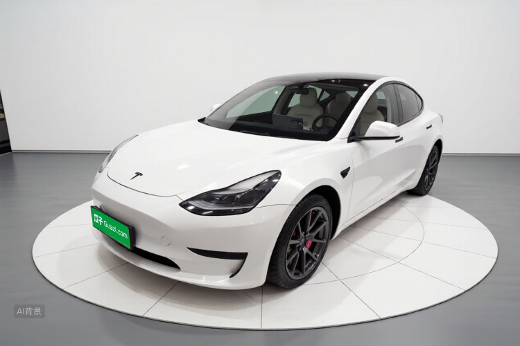Tesla Model 3 2022 #2 Tesla Model 3 2022 car image #2