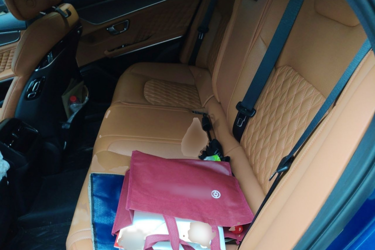 BYD Han 2021 #14 BYD Han 2021 изображение автомобиля #14