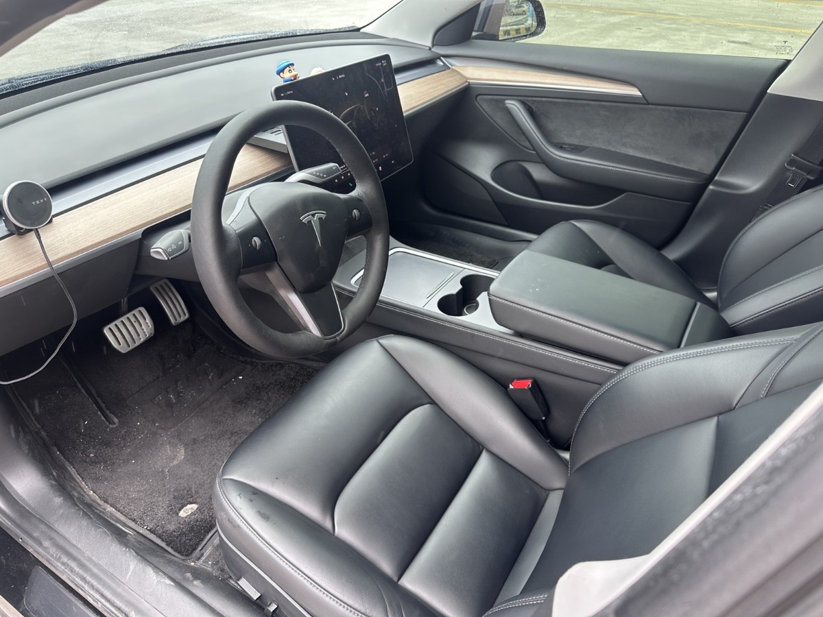 Tesla Model 3 2021 car image #3