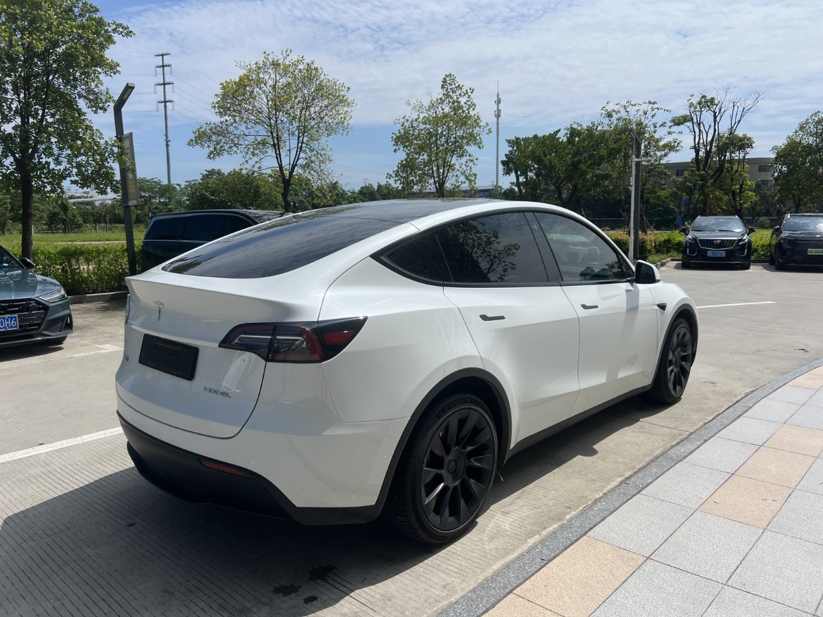 Tesla Model Y 2023 #9 Tesla Model Y 2023 car image #9