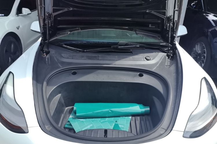 Tesla Model 3 2021 #20 Tesla Model 3 2021 car image #20