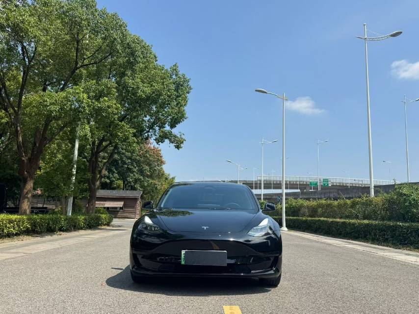 Tesla Model 3 2022 #2 Tesla Model 3 2022 car image #2