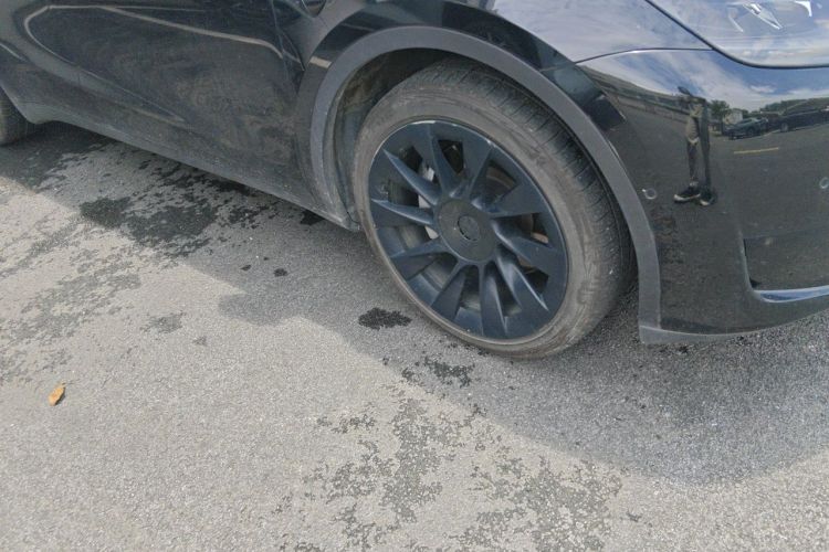 Tesla Model Y 2022 car image #9