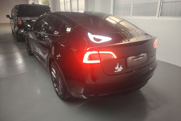 Tesla Model 3 2023 #5 Tesla Model 3 2023 car image #5