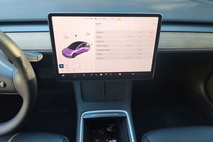 Tesla Model 3 2021 car image #13