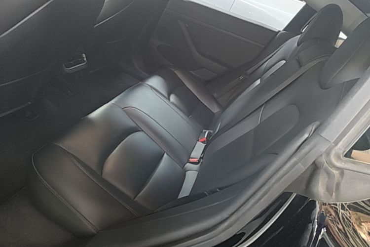 Tesla Model 3 2021 #17 Tesla Model 3 2021 car image #17