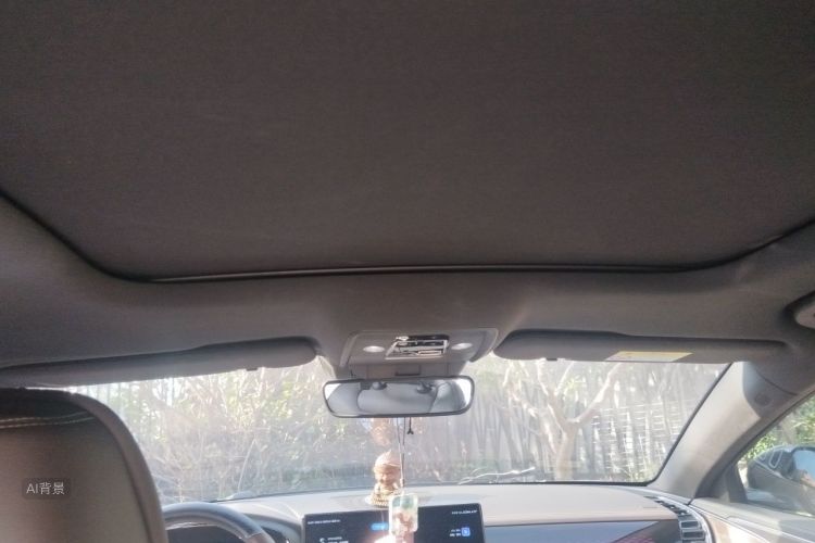 BYD Han 2021 immagine di auto #20