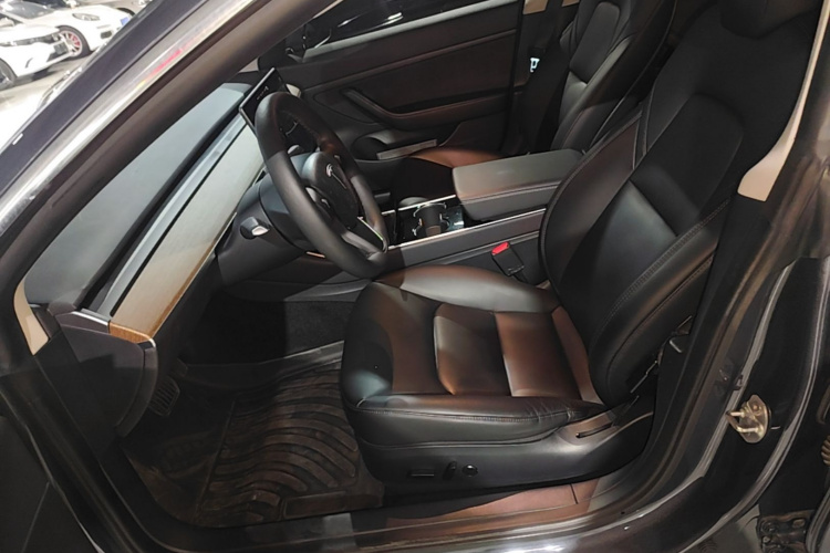 Tesla Model 3 2020 immagine di auto #19