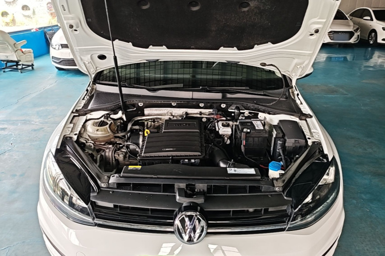 Volkswagen Golf 2019 #22 Volkswagen Golf 2019 car image #22