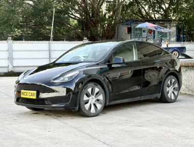Tesla Model Y 2022 Tesla Model Y 2022 car image