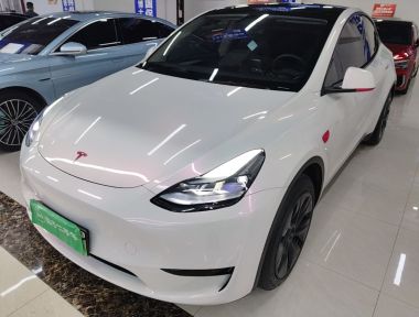Tesla Model Y 2024 Tesla Model Y 2024 car image