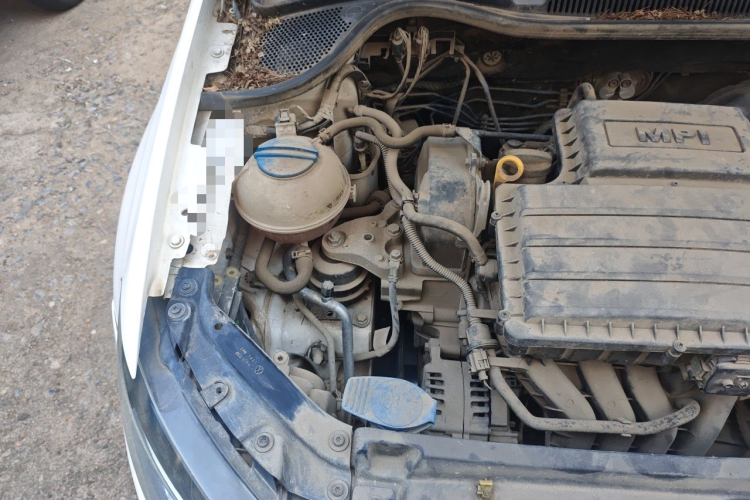 Volkswagen Polo 2016 car image #22