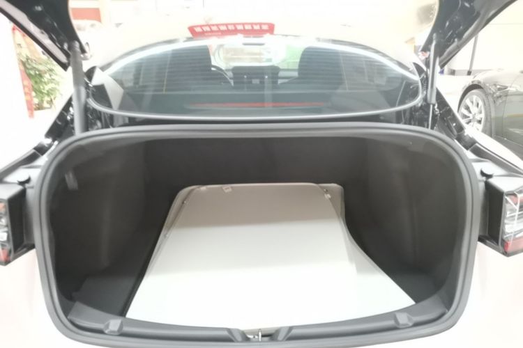 Tesla Model 3 2021 #21 Tesla Model 3 2021 immagine di auto #21