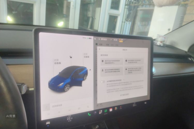 Tesla Model Y 2021 car image #13