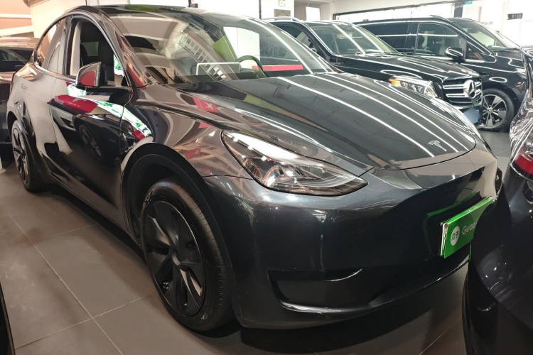 Tesla Model Y 2024 car image #4