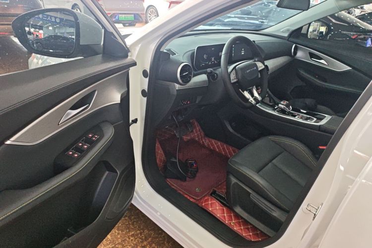 Forthing T5 EVO 2024 immagine di auto #12