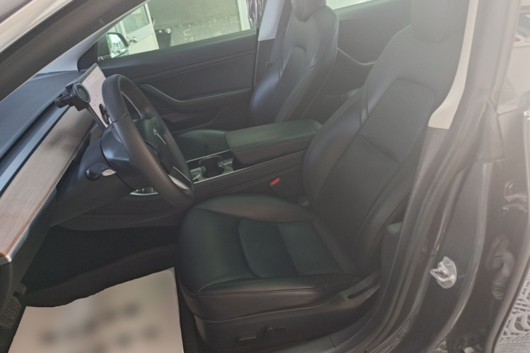 Tesla Model 3 2020 car image #19