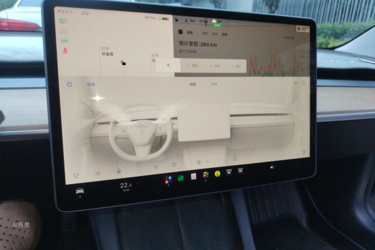 Tesla Model 3 2022 immagine di auto #15