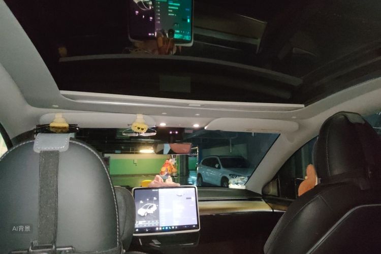 Tesla Model Y 2023 car image #20