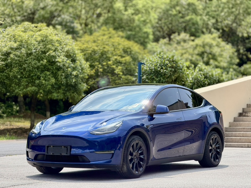 Tesla Model Y 2021 Tesla Model Y 2021 car image