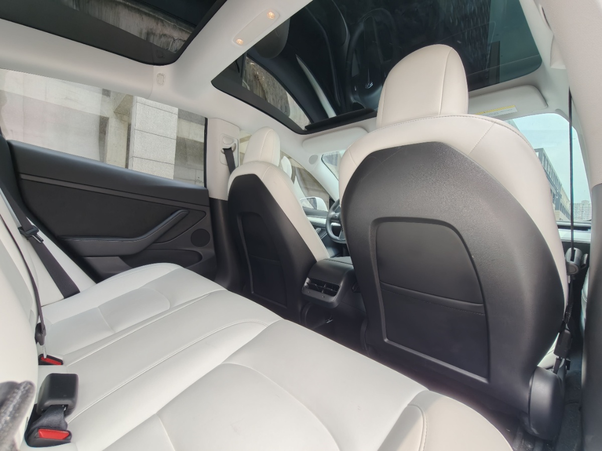 Tesla Model 3 2021 immagine di auto #6
