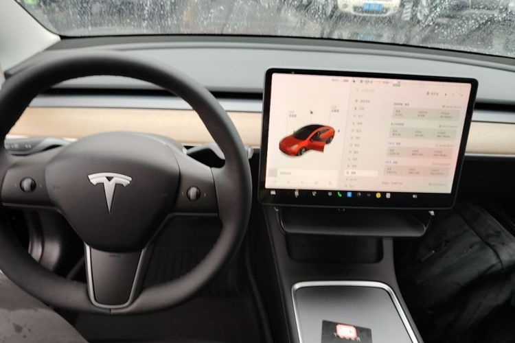Tesla Model 3 2021 car image #11