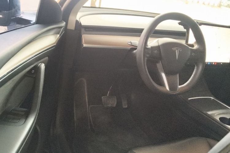 Tesla Model Y 2021 car image #12
