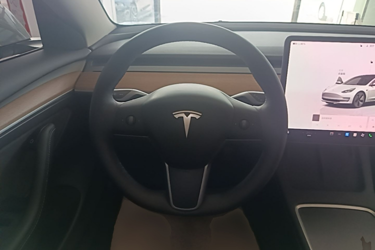Tesla Model 3 2023 car image #15