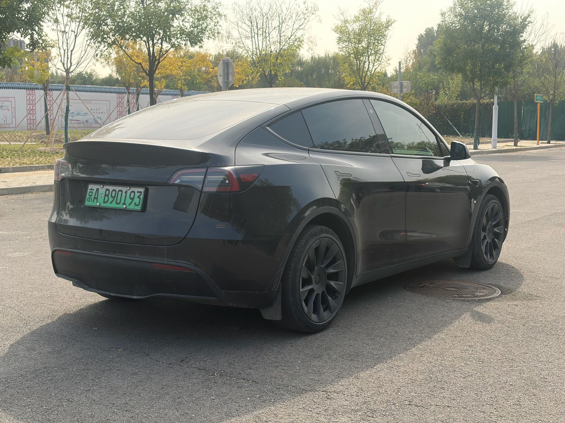 Tesla Model Y 2023 immagine di auto #6