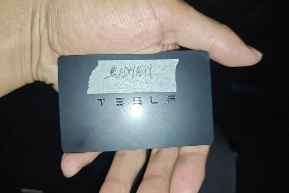 Tesla Model 3 2020 immagine di auto #28