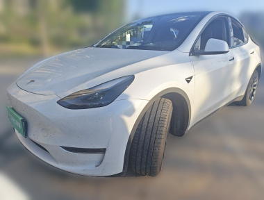 Tesla Model Y 2024 Tesla Model Y 2024 car image