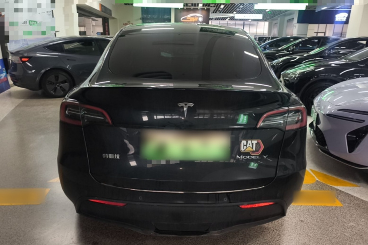 Tesla Model Y 2022 #6 Tesla Model Y 2022 car image #6