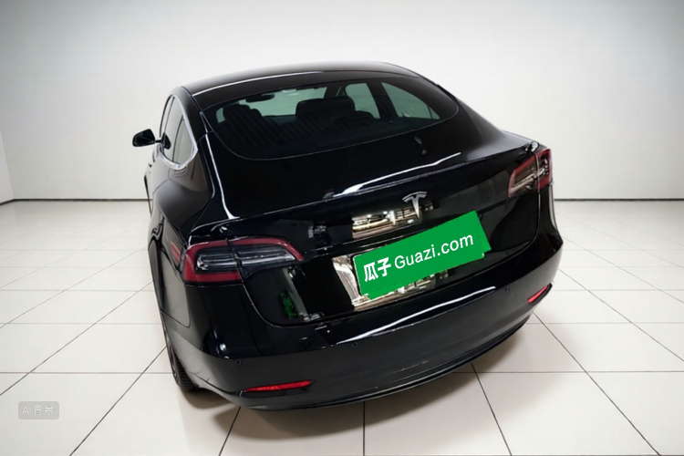 Tesla Model 3 2020 immagine di auto #5