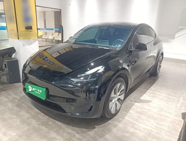 Tesla Model Y 2023 car image 