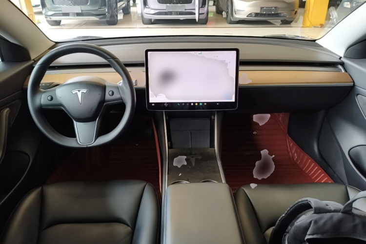 Tesla Model 3 2020 car image #10