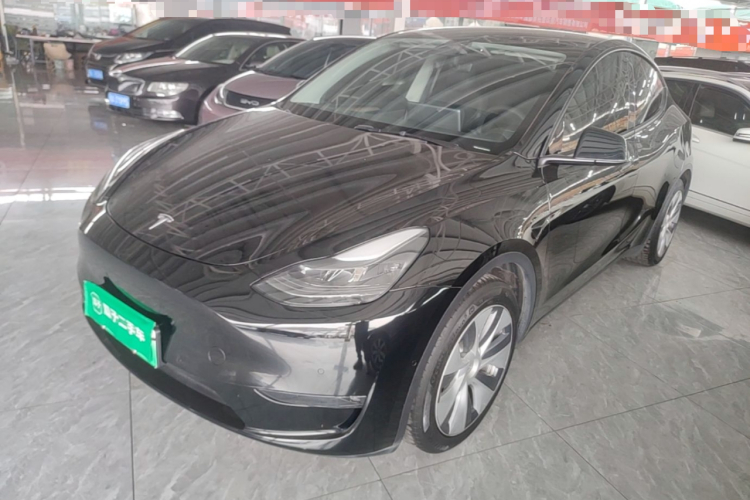 Tesla Model Y 2021 imagem de carro #2