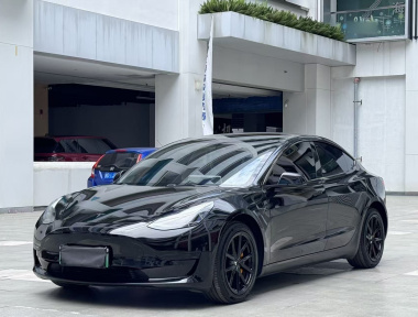 Tesla Model 3 2021 Tesla Model 3 2021 immagine di auto