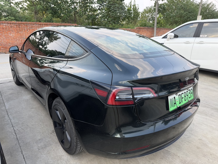 Tesla Model 3 2021 car image #8