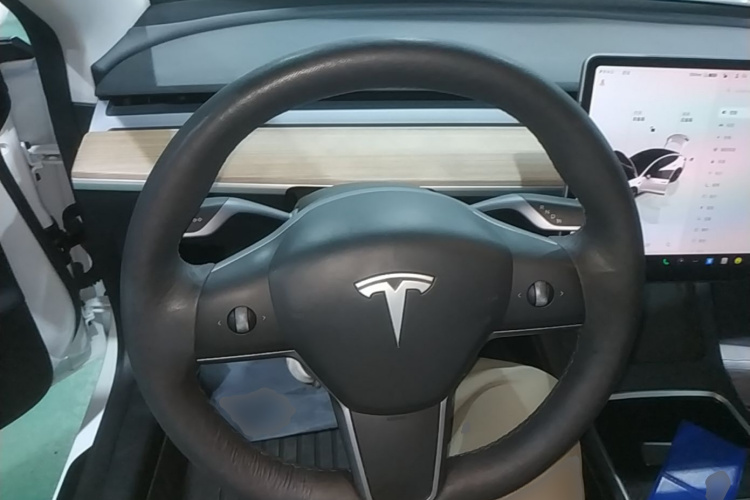 Tesla Model 3 2022 car image #14