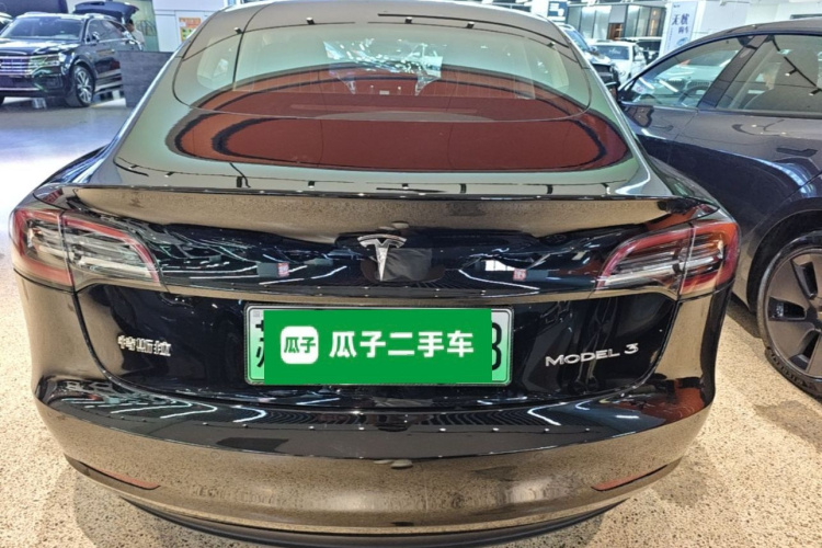 Tesla Model 3 2020 #6 Tesla Model 3 2020 car image #6