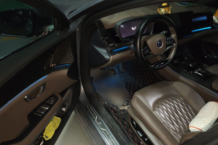 BYD Han 2021 immagine di auto #9