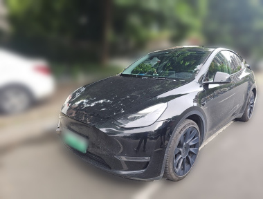 Tesla Model Y 2021 Tesla Model Y 2021 car image
