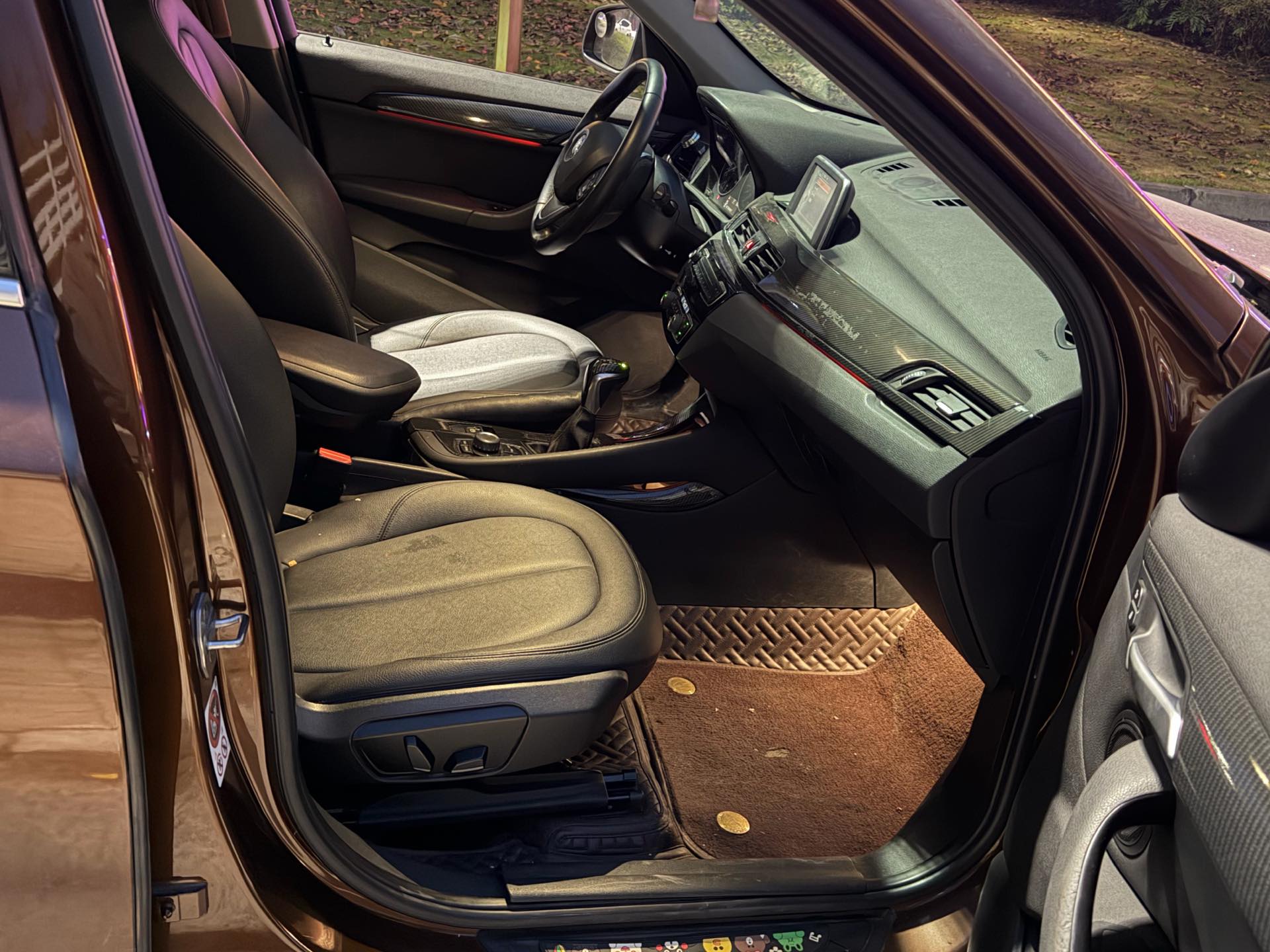 BMW X1 2017 car image #4