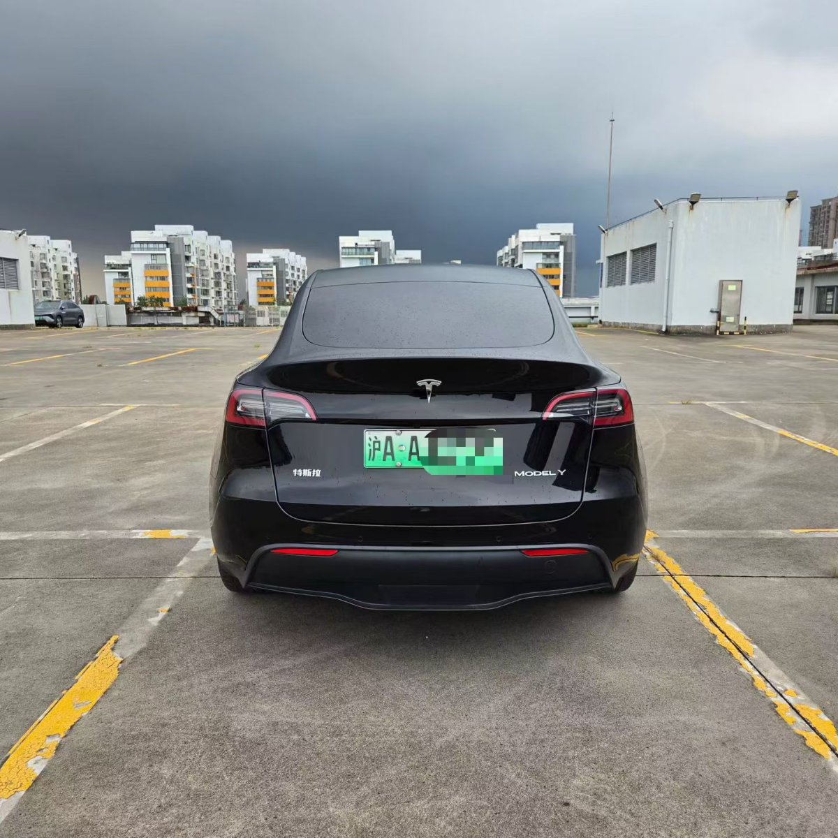 Tesla Model Y 2024 car image #7