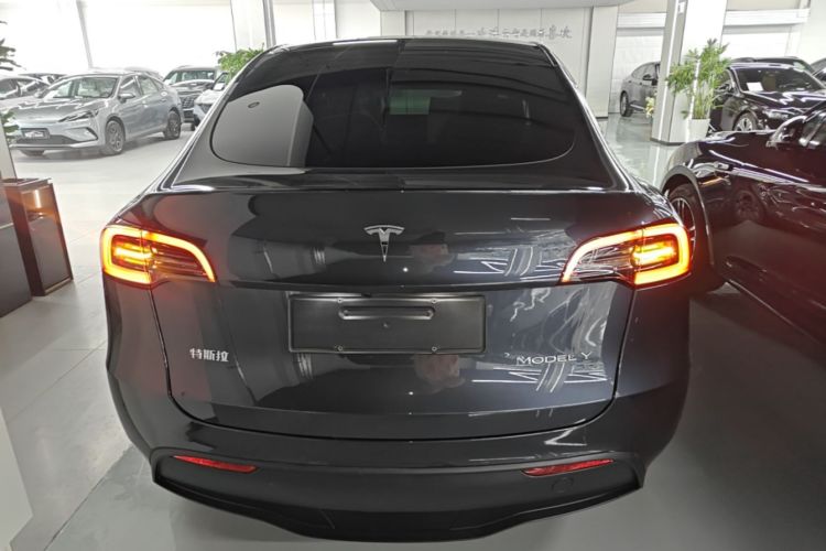 Tesla Model Y 2025 car image #4