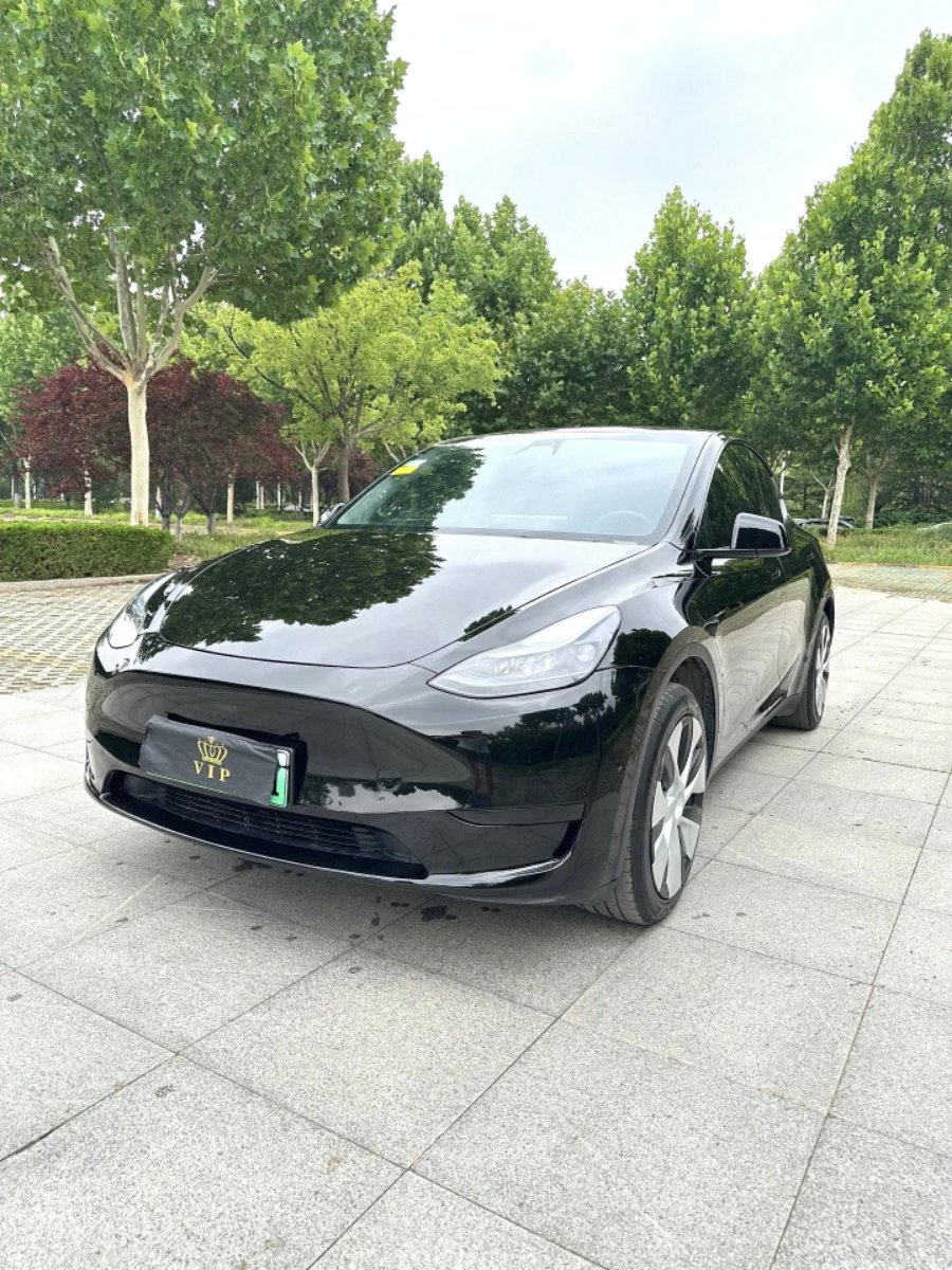 Tesla Model Y 2024 car image 